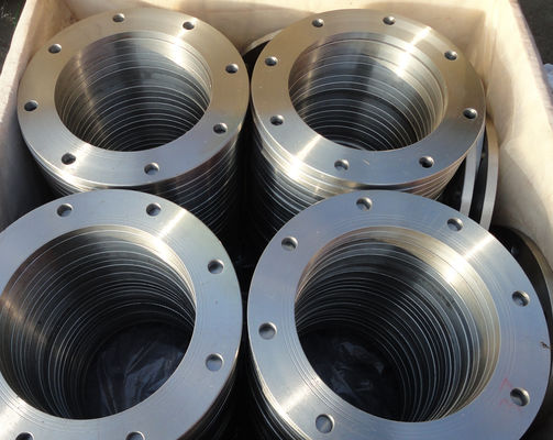 DN10 - DN1000 Sınıf B Sınıf D Flanş AWWA C207-07 Halkalar Kör Dövme Flanşlar