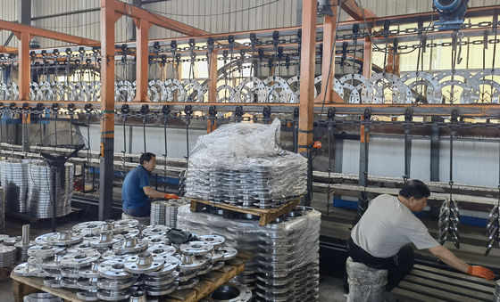 6 10 16 25 40 Bar PN160 Flanşlar DN10 - DN1600 Soğuk Galvanizli Flanş