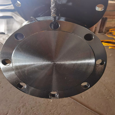 B Sınıfı D Sınıfı AWWA C207-07 Halka Kör Flanş A105N F304 304L F316 316L