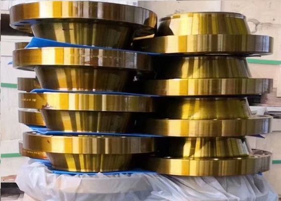 EN1092-1 DIN Dövme Çelik Boru Flanşı BS4504 PN16 Kaynak Boyun A105 C22.8 Flanş