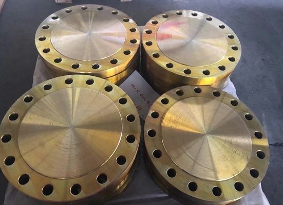 EN1092-1 DIN Dövme Çelik Boru Flanşı BS4504 PN16 Kaynak Boyun A105 C22.8 Flanş