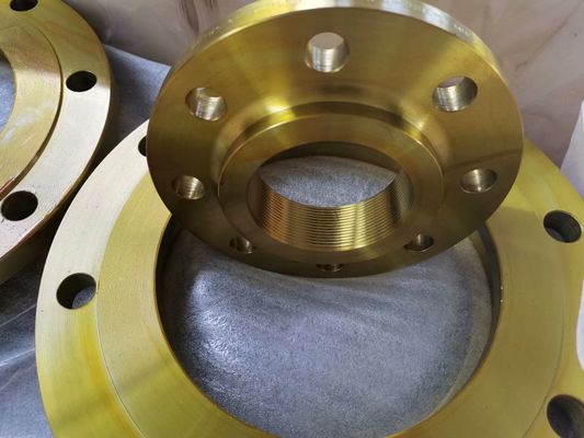Çelik Wnrf Pn25 Ss316 Galvanizli Boru Flanşı Sarı Boyama Bs4504 Standardı